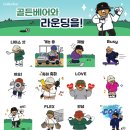 더 골든베어 이미지