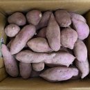 은골농원 이미지