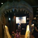 나현농장 이미지