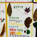 다우림명문유치원 이미지