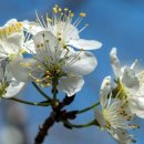 (주)케이넷피 이미지