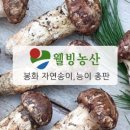송이농산