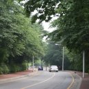 문화예술회관 진입로 이미지