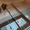 서울아산바른의원 | B형독감 초기증상 서울아산바른의원 수액맞기 B형독감수액비용