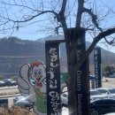 토박이철판춘천닭갈비 | 🐓통나무집닭갈비ㅣ내돈내산 춘천닭갈비맛집 / 춘천 철판닭갈비 / 통나무집닭갈비 본점 후기