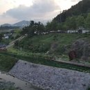 리도203호선 2 네이버블로그