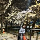 런드리24수유838점