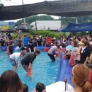 박달재전통시장 이미지