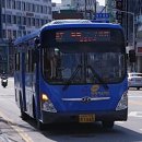 증4리 이미지