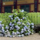 쌍계민박 | [친구랑 여행] 하동&amp;구례 1박 2일 :: DAY 1 (소보루 민박, 삼성궁, 쌍계사, 쌍계명차)