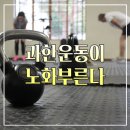 No.1 GYM 이미지