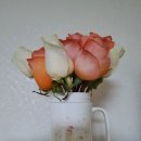 No.1당구장 이미지