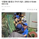 강화도 번식장...동물학대 이미지