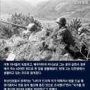 참치마트 이미지