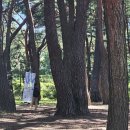 녹야어린이집 이미지