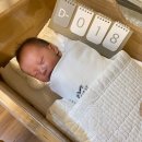 아빠곰약국 | 밤빵기록(D+18~D+50) 조리원 퇴소 후 친정살이, 배앓이와 쪽쪽이 유목민, 토끼잠과 50일의 기적