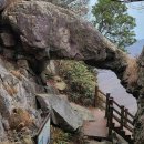 상록난원 | (100대명산)해남 두륜산, 동다송…초의선사의 차향으로 ‘茗禪’에 들다