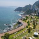 하얀낭만 이미지