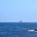 푸른신창 이미지