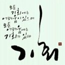 기회 Daum카페