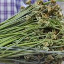 김정태 농장 이미지