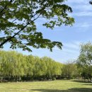 고잔근린공원 이미지