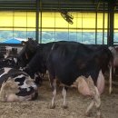 금와농장 이미지