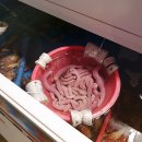 구미횟집 이미지