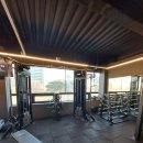 체력관리와 건강 | 신도림헬스장 허슬짐에서 무너진 체력 관리하며 건강 챙기기 시작한 후기