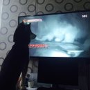 미우농장 이미지