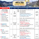 천지국제여행사