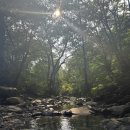 화양황토펜션 이미지