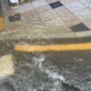 상남동252 이미지