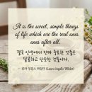 잉걸스
