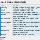 엠케이개발주 이미지