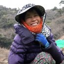 소망영농조합법인