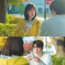 디어베어 이미지