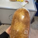 맘모스안경 이미지