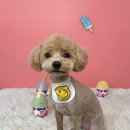 딱이네미용실 이미지