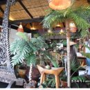 로하스민박 이미지