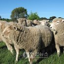 김기성 농장 이미지