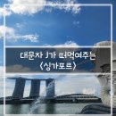 [해외여행] 대문자 J가 떠먹여주는 여행_5편: 싱가포르(feat. 기간별 일정 추천, 센토사, 가볼만한곳...