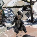 사기리 목장 이미지