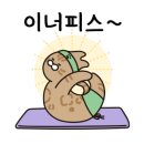 바디템플휘트니스 이미지