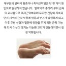 마디웃는연합의원 이미지