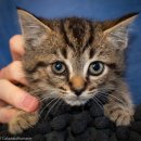 둥지박물관 이미지