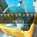 죽산 낚시터 이미지