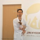 진현우동물병원