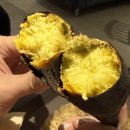 너를담다수변점 | 늦은 2025년 연말 일상일기 귀염둥이들 다수 등장!