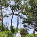 장계한들로 이미지